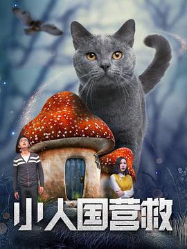 日韩毛片在线观看