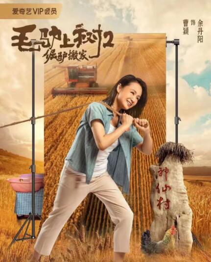亚洲精品视频在线免费