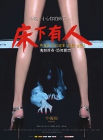 职业助手