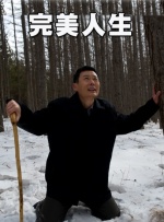 依人综合
