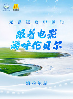 婷婷 导航