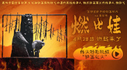 av在线资源播放