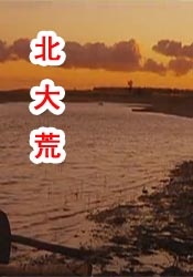 一区二区在线播放视频