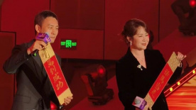 久久久久久国产精品mv