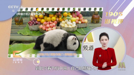 本庄优花