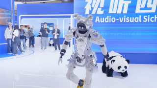 国产精品亚洲专区一区
